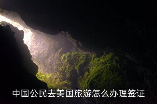 中国公民去美国旅游怎么办理签证