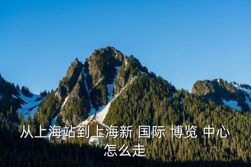 从上海站到上海新 国际 博览 中心怎么走