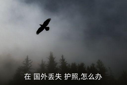 在 国外丢失 护照,怎么办