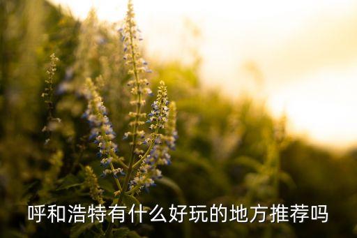 呼和浩特市万立国际酒店,内蒙古万立国际酒店