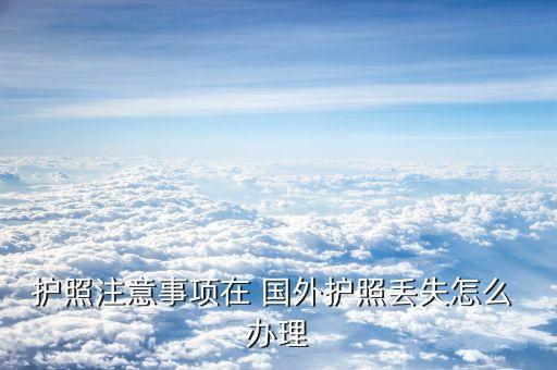 护照注意事项在 国外护照丢失怎么 办理