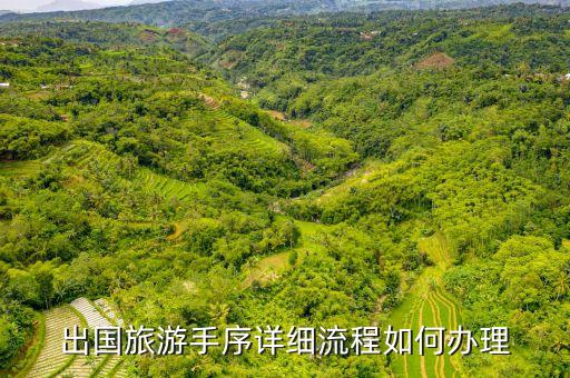出国旅游手序详细流程如何办理
