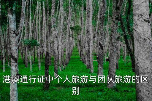 港澳通行证中个人旅游与团队旅游的区别