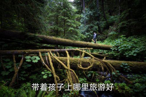 带着孩子上哪里旅游好