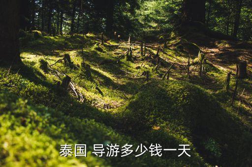 在国外当导游工资,国外导游工资一般多少钱一个月