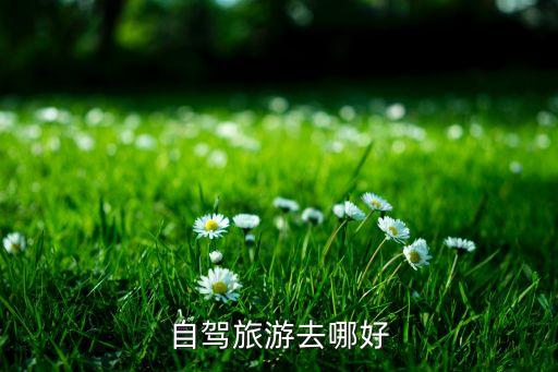 自驾旅游去哪好