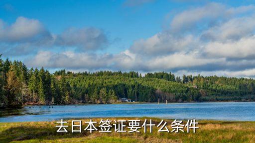 2023日本自由行签证条件，日本签证要求是什么 日本签证须知是什么