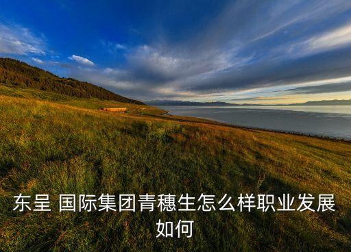 东呈 国际集团青穗生怎么样职业发展如何