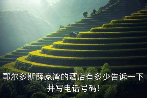 准格尔生力国际