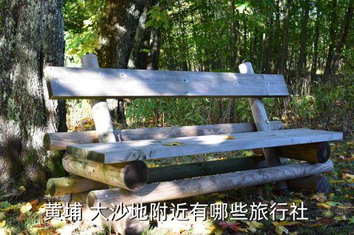 黄埔 大沙地附近有哪些旅行社
