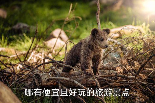 哪有便宜且好玩的旅游景点