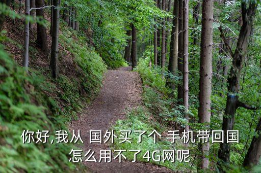 你好,我从 国外买了个 手机带回国怎么用不了4G网呢