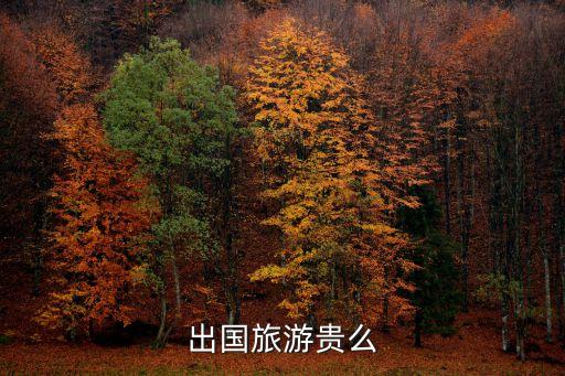 去国外旅游贵吗，出国旅游贵么