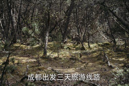 成都出发三天旅游线路