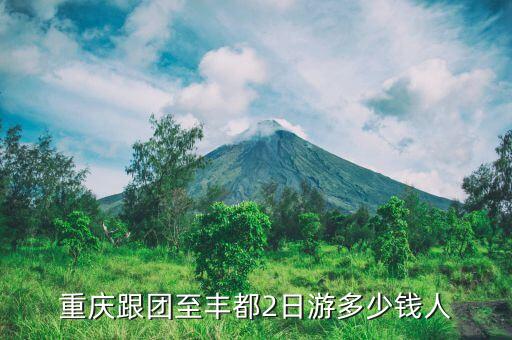重庆跟团至丰都2日游多少钱人