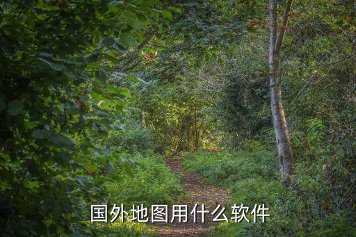  国外地图用什么软件