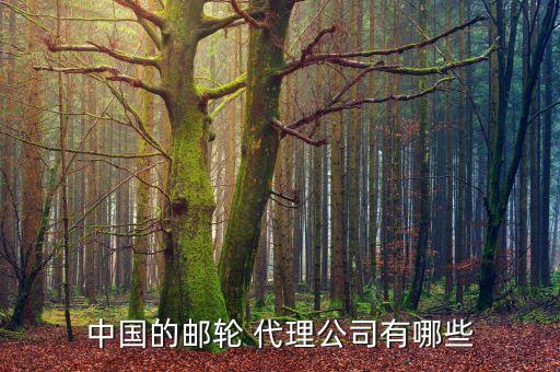 中国的邮轮 代理公司有哪些