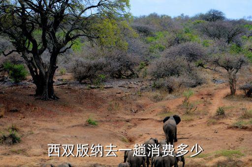 西双版纳旅游大概要花多少钱，西双版纳旅游4天3晚3400贵吗