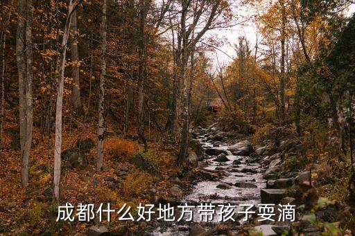 成都什么好地方带孩子耍滴