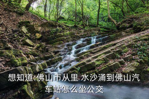 里水沙涌 国际