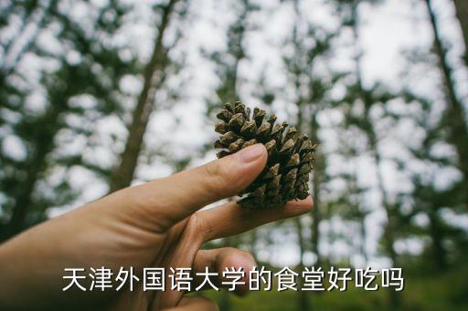 国外酒店华夫饼,什么是华夫饼?分两种做法不一样!