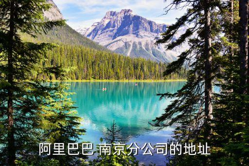 阿里巴巴 南京分公司的地址