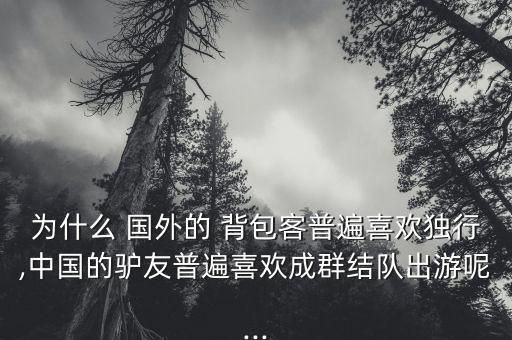 为什么 国外的 背包客普遍喜欢独行,中国的驴友普遍喜欢成群结队出游呢...