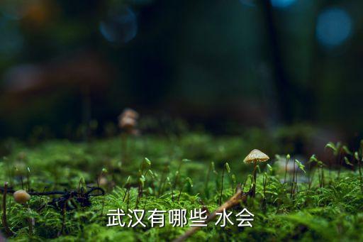 武汉有哪些 水会