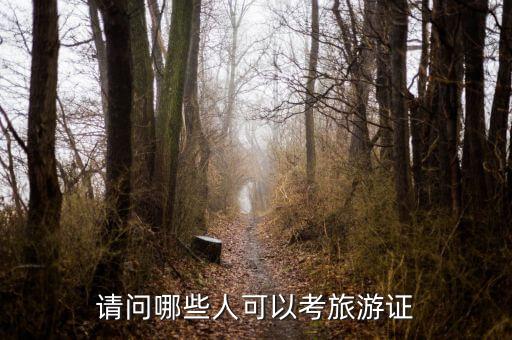 请问哪些人可以考旅游证