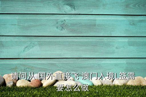 请问从 国外直接飞 澳门入境L签需要怎么做