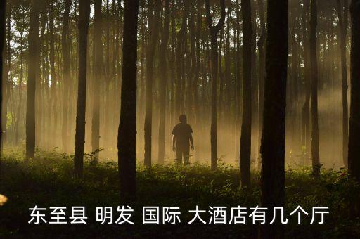 东至县 明发 国际 大酒店有几个厅