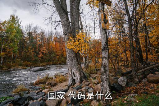  国家 代码是什么