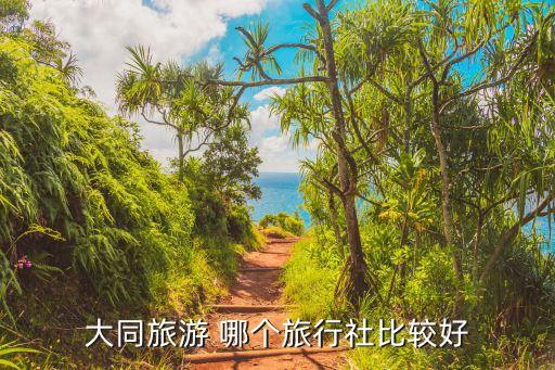 大同旅游 哪个旅行社比较好