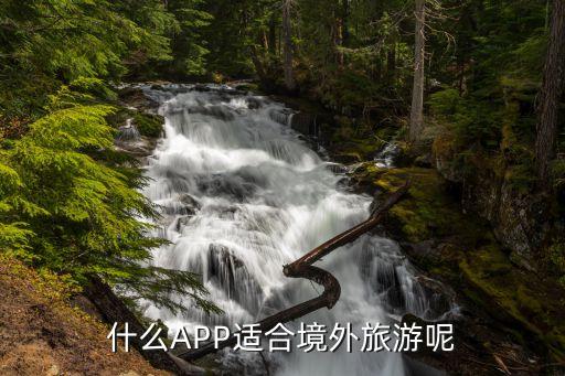 什么APP适合境外旅游呢