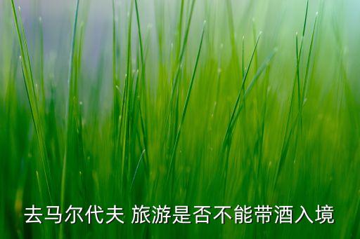 去国外旅游可以自己带白酒吗