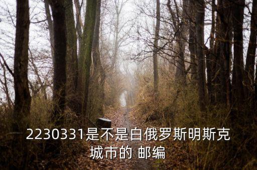 智利国际邮编,怎么查询国际国内邮编?