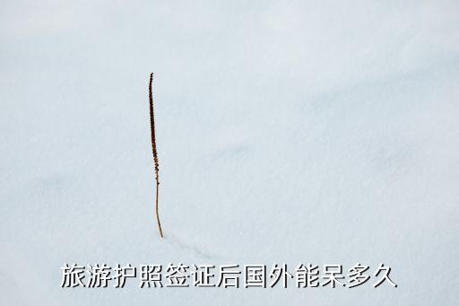 旅游签证在国外能呆多久，普通旅游出国签证可以在国外停留多少天