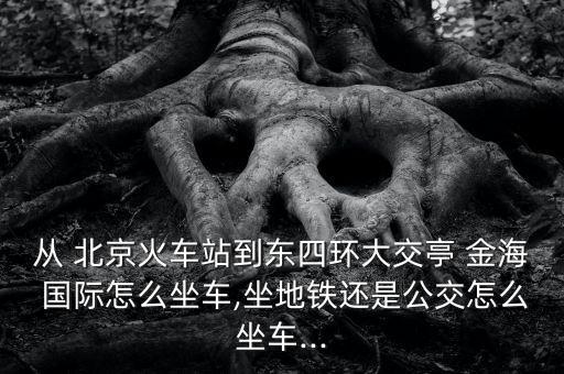 从 北京火车站到东四环大交亭 金海 国际怎么坐车,坐地铁还是公交怎么坐车...