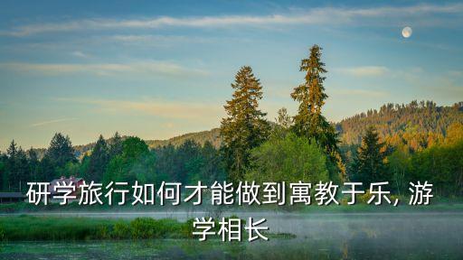 国外游学项目策划