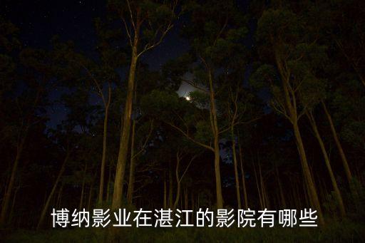  博纳影业在湛江的影院有哪些