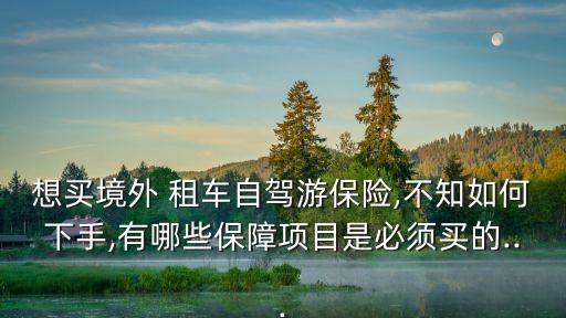 国外租车各种保险,想买境外租车自驾游保险?美国保险公司提供四大项