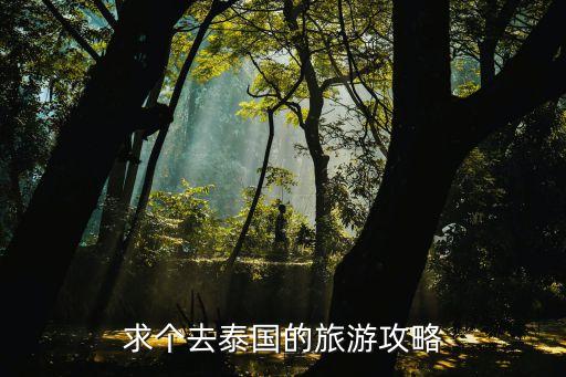 求个去泰国的旅游攻略