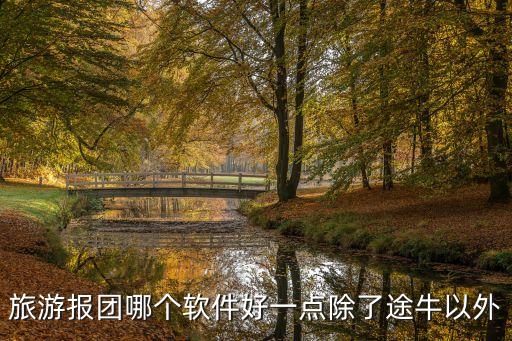 旅游报团哪个软件好一点除了途牛以外