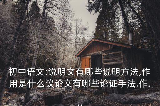 妙思国际