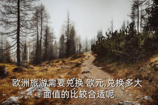 欧洲旅游需要兑换 欧元,兑换多大 面值的比较合适呢