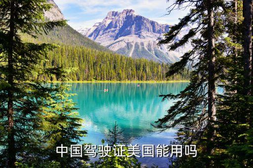 国内驾照 国外开车吗,哪里的驾照可以在国外开车