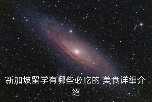 新加坡留学有哪些必吃的 美食详细介绍