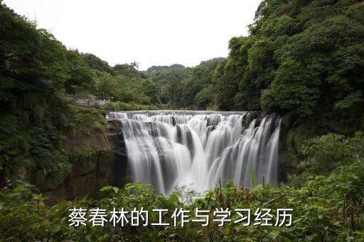 蔡春林的工作与学习经历