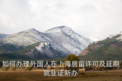 如何办理外国人在上海居留许可及延期就业证新办