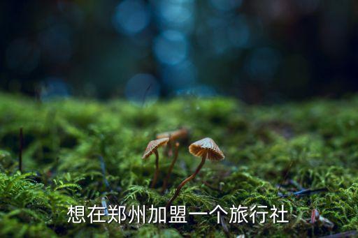 想在郑州加盟一个旅行社